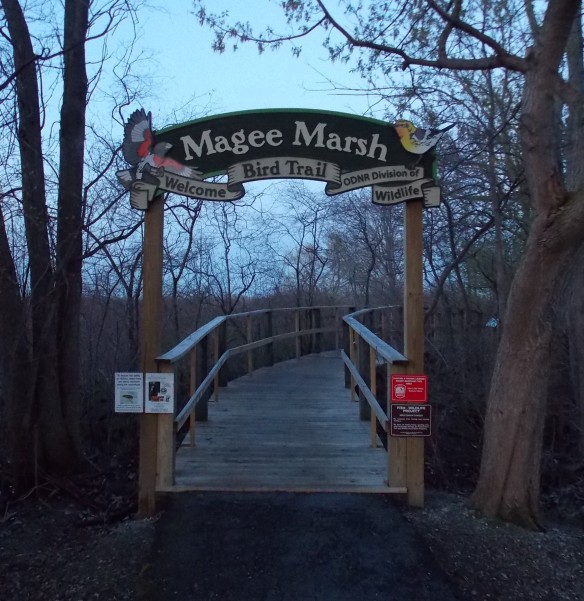 Magee Marsh